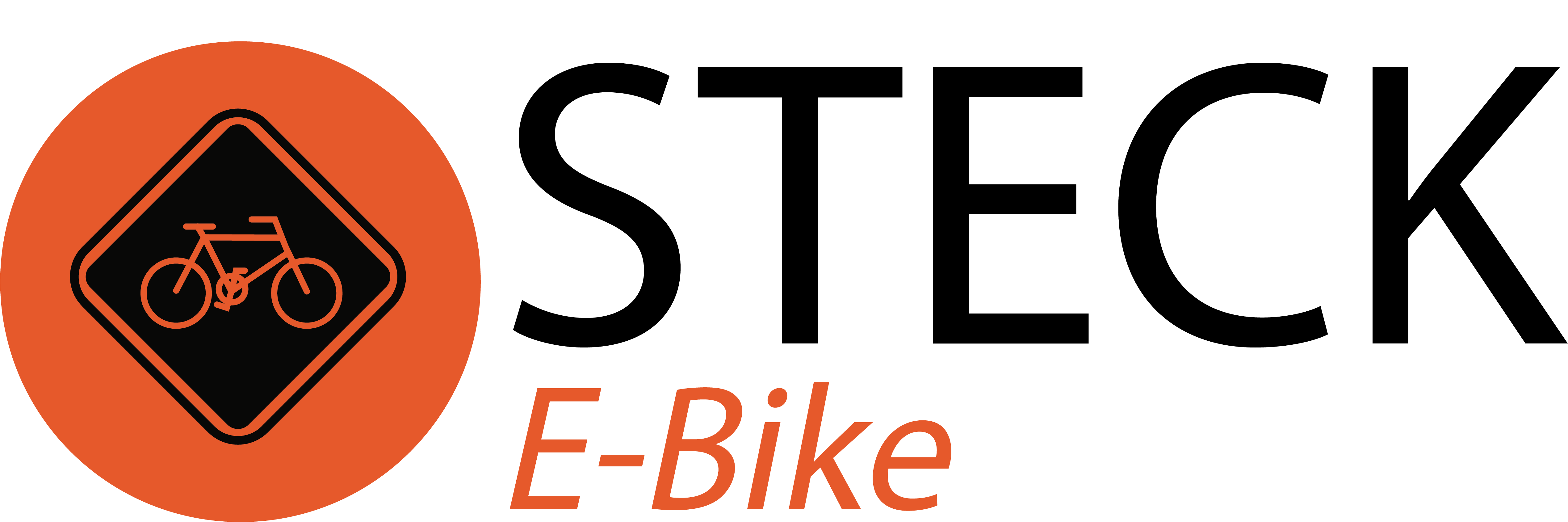 Steck E-Bike